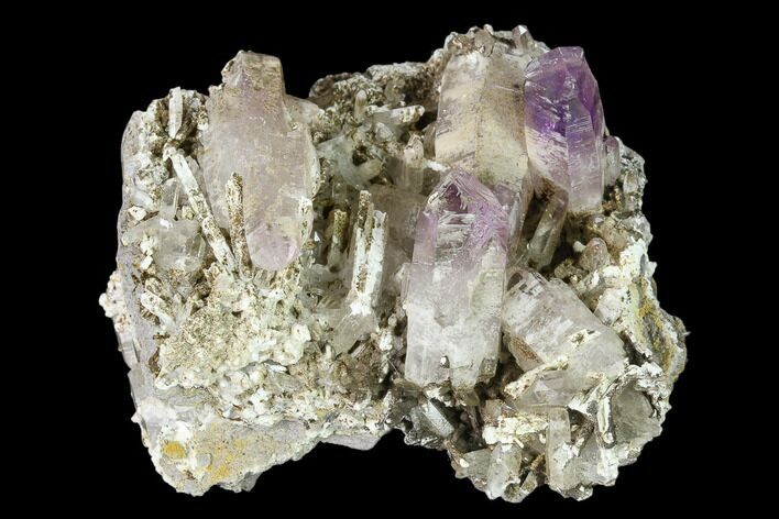 Amethyst Crystal Cluster - Las Vigas, Mexico #136994